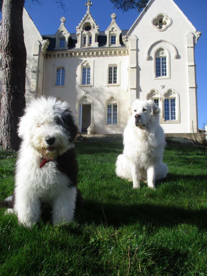 Notre-Dame-de-SanilhacLe Manoir De Sanilhac住宿加早餐旅馆 外观 照片